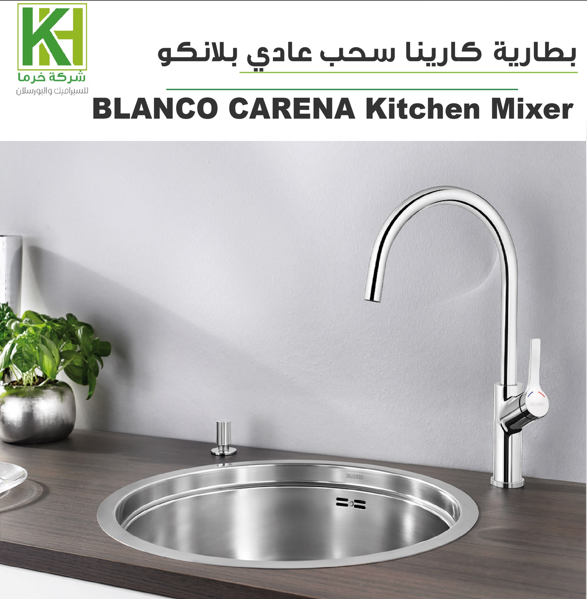 صورة بطارية بلانكو كارينا عادي كروم
